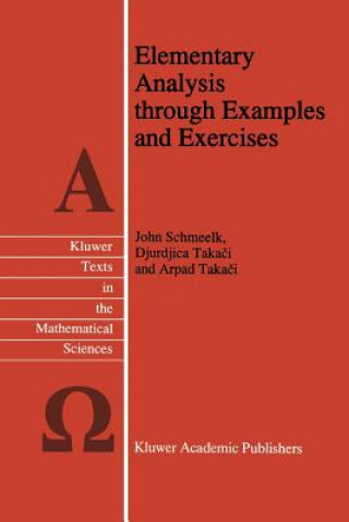 Buch Elementary Analysis through Examples and Exercises John Schmeelk