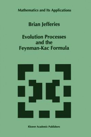 Boek Evolution Processes and the Feynman-Kac Formula Brian Jefferies