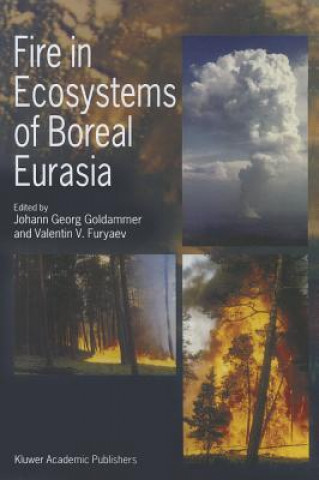 Книга Fire in Ecosystems of Boreal Eurasia Johann Georg Goldammer