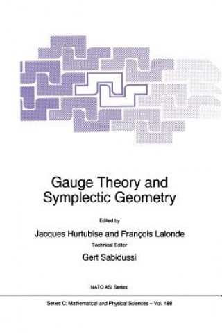 Kniha Gauge Theory and Symplectic Geometry Jacques Hurtubise
