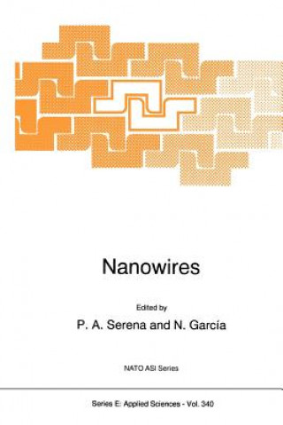 Libro Nanowires P.A. Serena