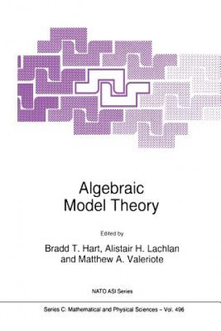 Kniha Algebraic Model Theory Bradd T. Hart