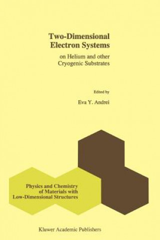 Kniha Two-Dimensional Electron Systems E.Y. Andrei