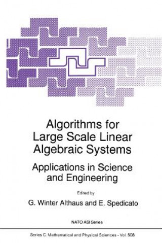 Kniha Algorithms for Large Scale Linear Algebraic Systems: Gabriel Winter Althaus