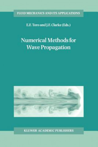 Kniha Numerical Methods for Wave Propagation E.F. Toro