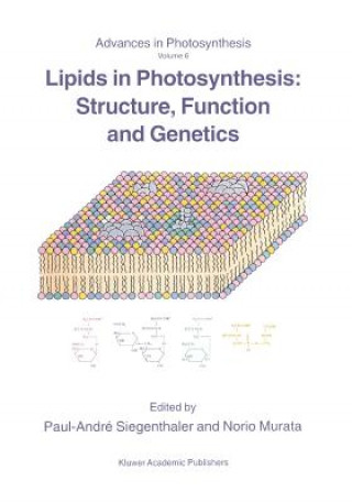 Knjiga Lipids in Photosynthesis: Structure, Function and Genetics Paul-André Siegenthaler