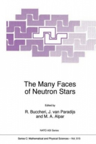 Könyv The Many Faces of Neutron Stars R. Buccheri