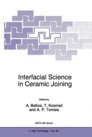 Knjiga Interfacial Science in Ceramic Joining Alida Bellosi