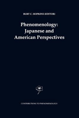 Kniha Phenomenology: Japanese and American Perspectives B.C. Hopkins