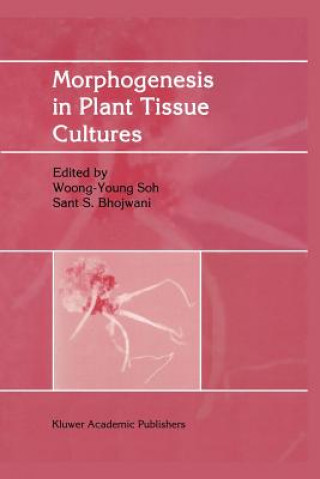 Carte Morphogenesis in Plant Tissue Cultures Woong-Young Soh
