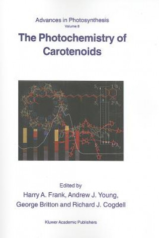 Könyv Photochemistry of Carotenoids H.A. Frank