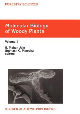 Könyv Molecular Biology of Woody Plants S. Mohan Jain
