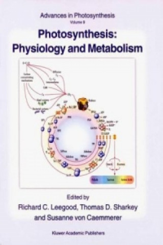 Kniha Photosynthesis: Physiology and Metabolism Richard C. Leegood