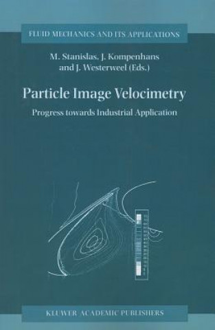 Buch Particle Image Velocimetry Michel Stanislas