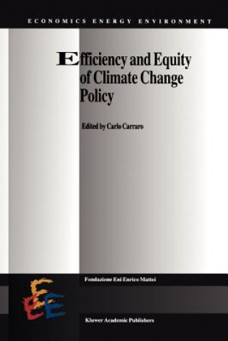 Könyv Efficiency and Equity of Climate Change Policy Carlo Carraro