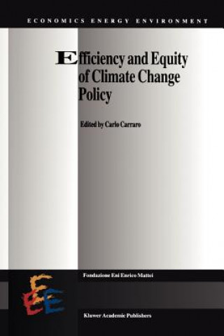 Buch Efficiency and Equity of Climate Change Policy Carlo Carraro