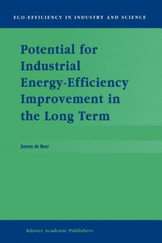 Carte Potential for Industrial Energy-Efficiency Improvement in the Long Term J. de Beer