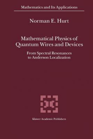 Kniha Mathematical Physics of Quantum Wires and Devices N.E. Hurt