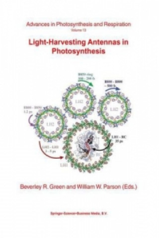 Kniha Light-Harvesting Antennas in Photosynthesis B.R. Green