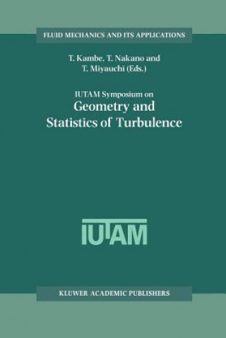 Kniha IUTAM Symposium on Geometry and Statistics of Turbulence T. Kambe