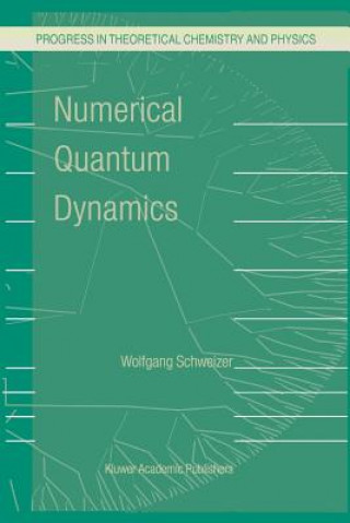 Kniha Numerical Quantum Dynamics W. Schweizer