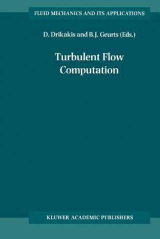 Knjiga Turbulent Flow Computation D. Drikakis