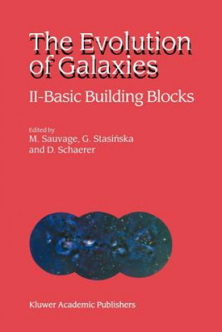 Könyv Evolution of Galaxies Marc Sauvage
