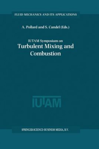 Könyv IUTAM Symposium on Turbulent Mixing and Combustion Andrew Pollard