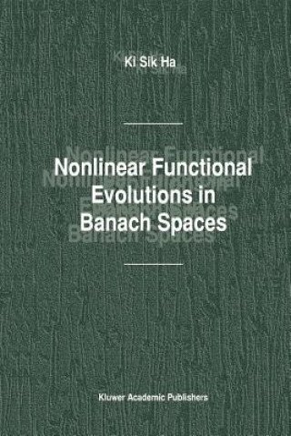 Книга Nonlinear Functional Evolutions in Banach Spaces i Sik Ha