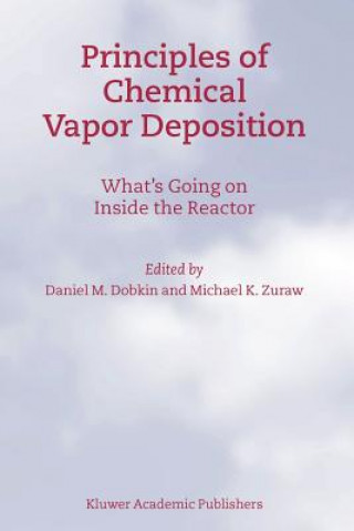 Kniha Principles of Chemical Vapor Deposition D.M. Dobkin