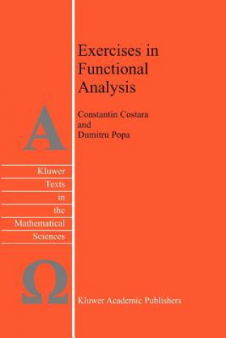 Könyv Exercises in Functional Analysis C. Costara