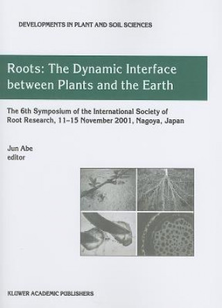 Carte Roots Jun J. Abe