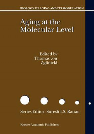 Книга Aging at the Molecular Level Thomas von Zglinicki