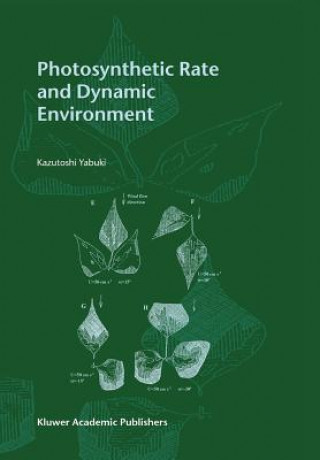 Kniha Photosynthetic Rate and Dynamic Environment Kazutoshi Yabuki
