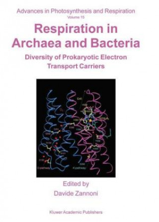 Carte Respiration in Archaea and Bacteria Davide Zannoni