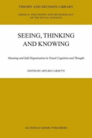 Kniha Seeing, Thinking and Knowing A. Carsetti