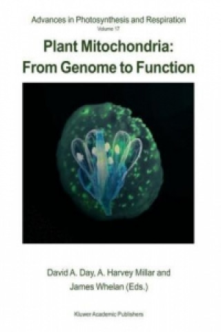 Książka Plant Mitochondria: From Genome to Function David Day