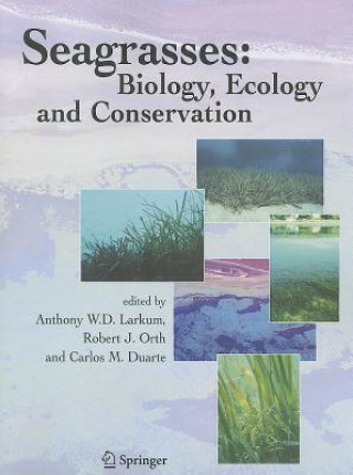 Książka Seagrasses: Biology, Ecology and Conservation Anthony W. D. Larkum