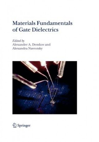 Kniha Materials Fundamentals of Gate Dielectrics Alexander A. Demkov