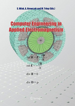 Carte Computer Engineering in Applied Electromagnetism Slawomir Wiak