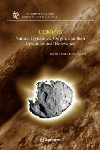 Buch Comets Julio A. Fernandez