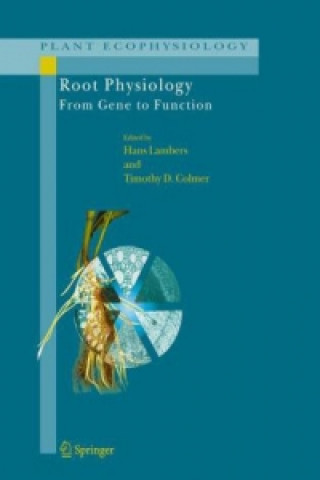 Könyv Root Physiology: from Gene to Function Hans Lambers