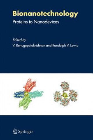 Könyv Bionanotechnology V. Renugopalakrishnan
