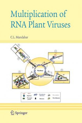 Könyv Multiplication of RNA Plant Viruses Chuni L. Mandahar