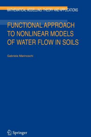 Könyv Functional Approach to Nonlinear Models of Water Flow in Soils G. Marinoschi