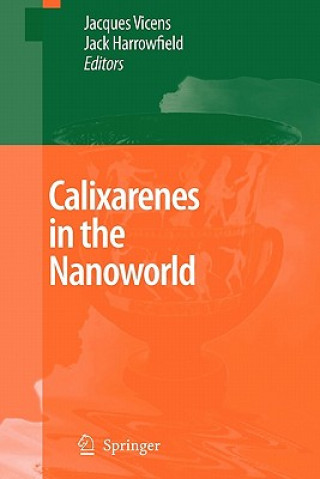 Livre Calixarenes in the Nanoworld Jacques Vicens