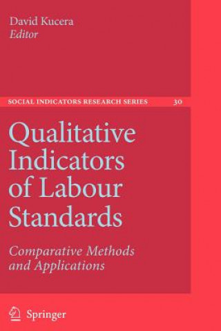 Kniha Qualitative Indicators of Labour Standards David Kucera