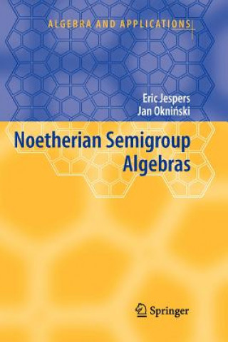 Carte Noetherian Semigroup Algebras Eric Jespers