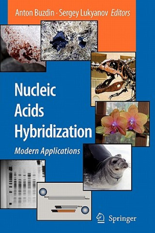 Buch Nucleic Acids Hybridization Anton Buzdin