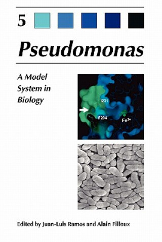 Könyv Pseudomonas Juan-Luis Ramos